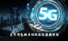 麦子钱包提币到账延迟原因分析
